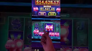 #slot #gambler #slotmachine #gambleslotonline #slotjackpot #dog #jackpot #gamegambler