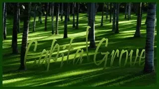 Capital Grove by Aaron Garner