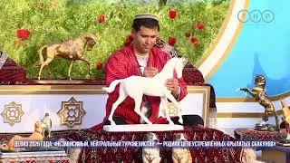 Девиз 2026 года: Независимый, нейтральный Туркменистан &mdash; родина целеустремлённых крылатых скакунов