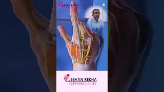 The Power of Reconstructive Hand Surgerywith Experts | Jeevan Rekha Superspeciality Hospital, Jaipur