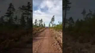 Поездка в Сидар-Лейк, Нью-Брансуик #короткий
