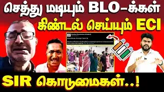 BLO-க்களின் பிரச்சனைகள் | SIR | Booth Level Officer Problems
