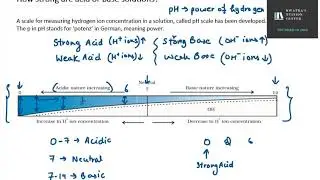 L-6 Difference between dilute and concentrated acids|| How strong are acid or base solutions?
