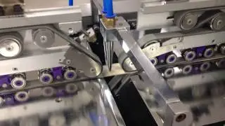 LUSTRE CARTON TAG INSPECTION MACHINE