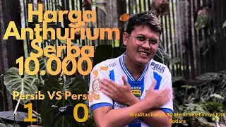Anthurium Serba 10.000,- Harga Edisi Bahagia Persib Win Di El Clasico🔥 Siapa Cepat Dia Dapat ‼️
