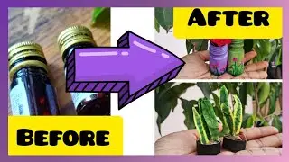 💊 Mini Plant Pot Using Medicine Bottle 🌱 | Aesthetic Desk D&eacute;cor | DIY Craft ideas 💡 @Ahaartjourney 