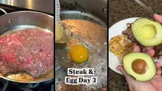 Steak & Egg Day 3 | Flank Steak, Fried Eggs & Avocado