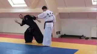 Teaching Hankido Jigibeop