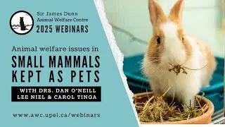Rabbits, guinea pigs and hamsters under primary veterinary care and VetCompass, Dr. Dan O'Neill