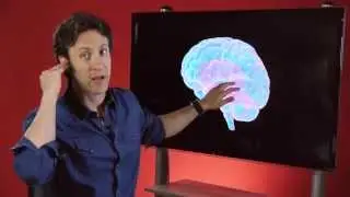 Your Brain is You: Sensing the World (Part 4 of 6)