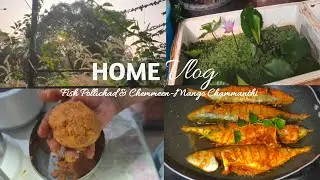 A Day with my Mom& Siblings☺️|Fish tank cleaning|Chemmeen Mango Chammanthi 