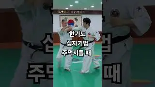 한기도 십자기법 주먹지를 때  #shorts #hankido