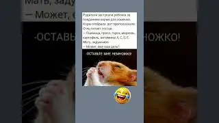 😂😂😂 #свежиеанекдоты #юмор