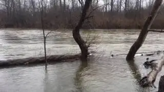 Huron River Water Levels Rise With April Storm