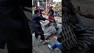pitik tarung #jaranan #barongkemiren #viralvideos #barongan #fyp