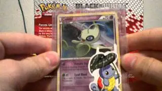 Awesome TCBM: KovusPokemon! :D