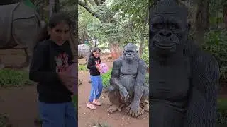 Gorilla Ke Pass Balloon Dance 💃 &hearts;️ 😍 #shorts