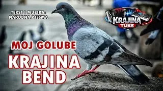 KRAJINA BEND - Moj golube (Audio 2026)