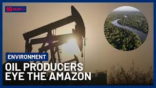 Trump Sets Sights On Protected Alaskan Land With New Oil & Gas Leases | 10 News+