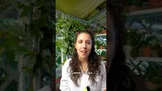 Biostimolanti: cosa sono e come si usano