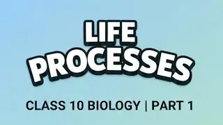 Life Processes Made Easy | Class 10 Biology | Part 1