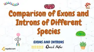Exons and lntrons | Comparison of Exons and Introns of Different Species | Genetics