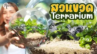 จัดสวนขวด Terrarium แบบง่ายๆ สนุกด้วย | MarangMod Channel