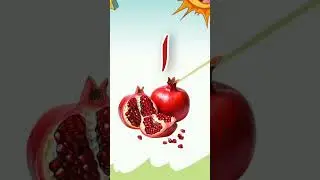 Alif se anar | urdu kids rhymes