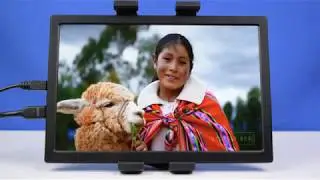 Cheap portable 1440p IPS monitor - MageDok C101