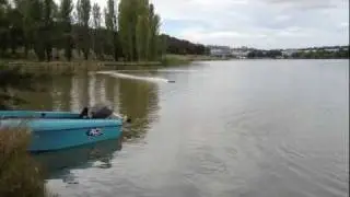 Hobby King Genesis RC Boat