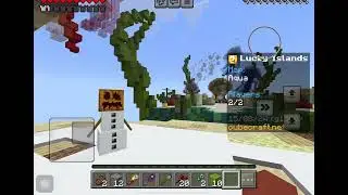 The cursed Enderman