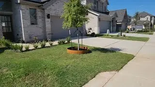 Pro Landscaping Look: Easy DIY Cor Ten Steel Edging (No Digging!)