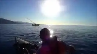 P&ecirc;che tropicale