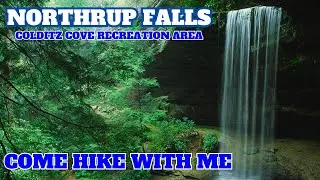 Explore Colditz Cove: Northrup Falls Awaits