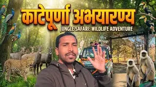 #काटेपूर्णा अभयारण्य अकोला - वाशिमचा अनमोल ठेवा 🌿 Katepurna Wildlife Sanctuary | #Katepurna #Vlog