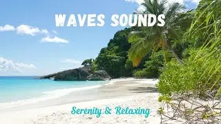 🎧 OCEAN WAVES SOUNDS On Tropical Island ㅣ For serenity, deep sleeping, meditation
