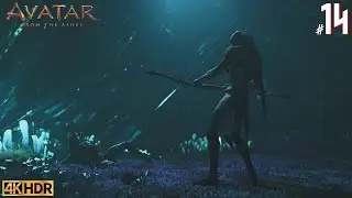 Avatar: From the Ashes. Die 4 Verstecke von So&acute;Lek #14 Gameplay Deutsch 4K