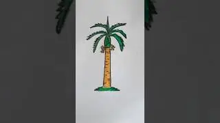 How to draw betel nut tree #shorts #shortsvideo #youtubeshorts #DrawingDen #drawing #art