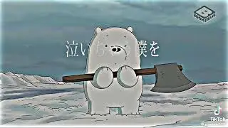Kutup ayısının duygusal hikayesi #kafadarayılar #webarebear 