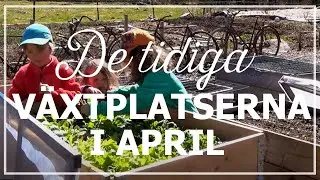 De tidiga växtplatserna i april
