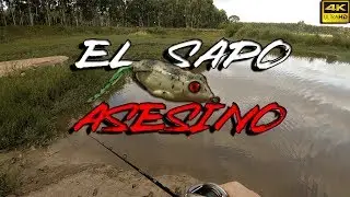Pescando TARUCHA baitcasting en 👉 [ 4k ]