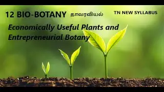 23) 12 Botany | Economically Useful Plants & Entrepreneurial | Spices | தாவரவியல் | Lesson 10