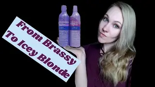Shimmer Lights Toning Shampoo and Conditioner