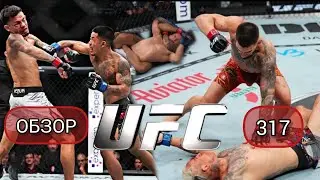 UFC 317,Топурия машина,Оливейра спать, Ван Пантожа, Лима,Кара Франц,Ройвал обосрались, итоги турнира