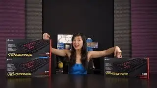Cherry MX Switch Guide Part 1: Reds, Browns, & Blues!