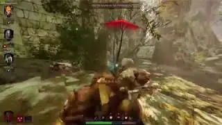 Vermintide 2 - Well Hooked