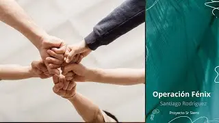 Operaci&oacute;n F&eacute;nix - Plan de Trabajo - 2026