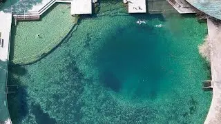 Now Open to Divers! DeLeon Springs, FL | Any scuba diver with a buddy is welcome / Down to 60