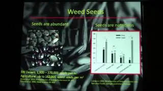 Jonathan Lundgren, SDSU, talks on how insects relate to soil health