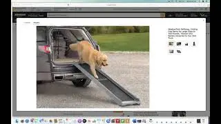 WeatherTech Dog Ramp Review for Truck and SUV - Perfect Ramp for Older Dogs and Heavy Dogs